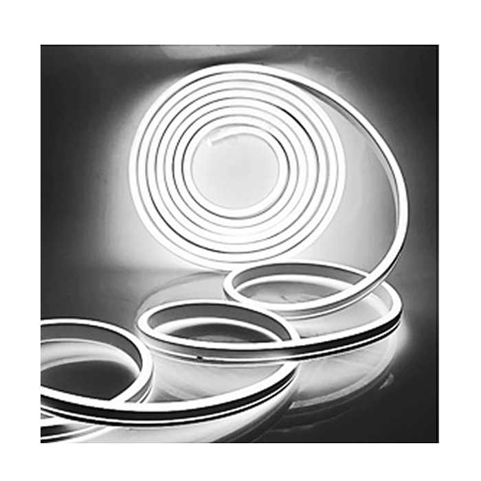 CINTA LED NEÓN (LUZ BLANCA)